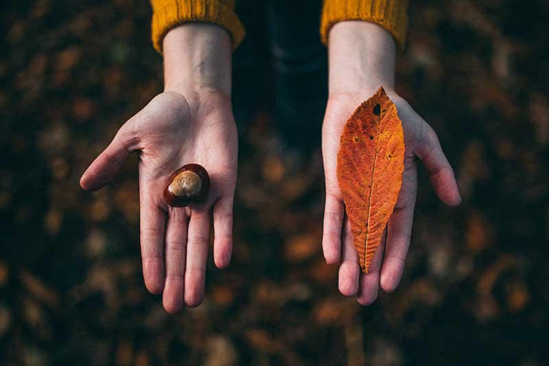 Contemplating separation? Here are some matters to consider | Family Law Gold Coast | Advance Family Law