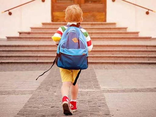 Child Support Solicitor Gold Coast