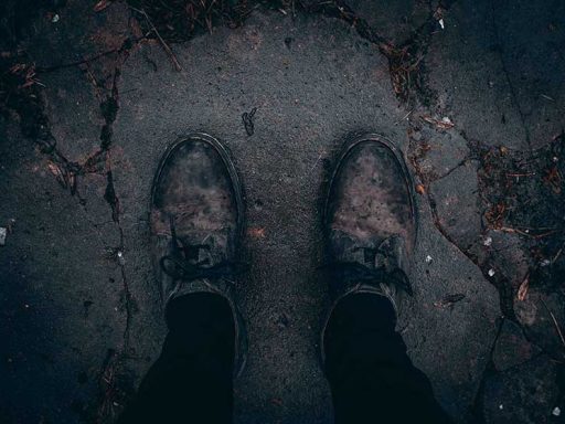 property contributions